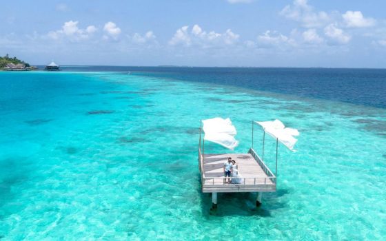 pexels-asadphoto-7663305