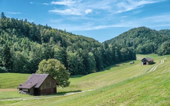 pexels-pth686817-17828031