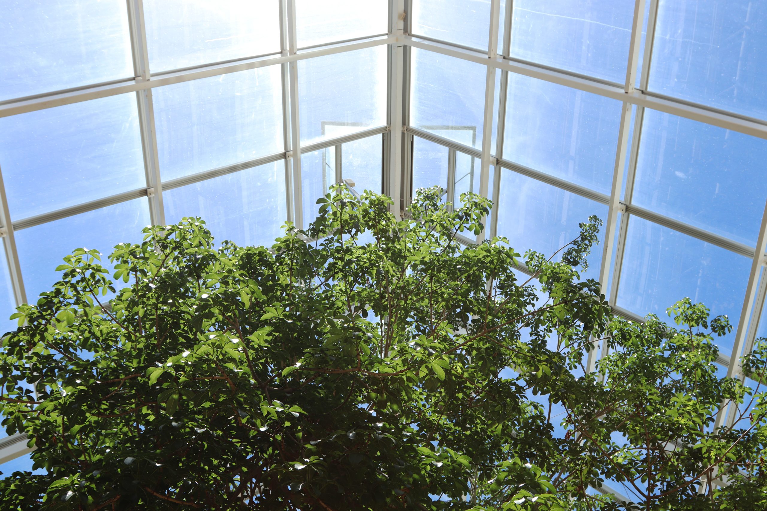 Large windows, skylights, and cross-ventilation help reduce dependence on artificial lighting and cooling systems. Positioning rooms to maximize daylight also enhances energy savings.